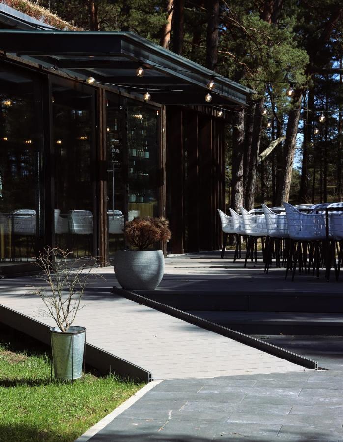 Albatross Getaway By The Sea, Spa And Forest With A Terrace Ķesterciems Esterno foto
